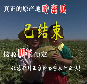 【自家甜瓜】新疆正宗哈密瓜2-3个瓜蜜瓜网纹瓜新鲜应季水果