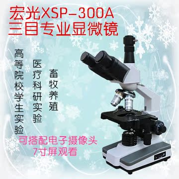 宏光三目光学专业生物显微镜1600X LED光源学生畜牧医疗科研