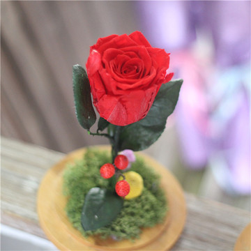 【唯一】永生花玻璃罩干花保鲜花玫瑰绣球苔藓圣诞节送女友礼物