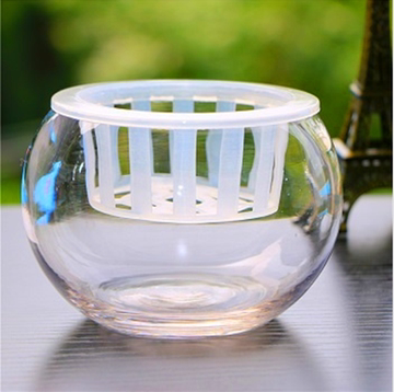 水培植物 花瓶 水培玻璃花瓶 透明绿萝水培花盆大号圆球瓶器