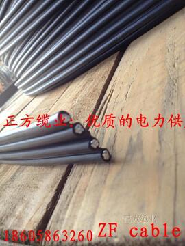宁波东方电缆 BS-JKLYJ 4X16平方4芯16平方集束电缆导线 401