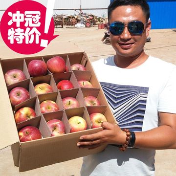 2016新鲜超好吃昭通早熟现摘苹果丑苹果野生苹果水果约10斤大果
