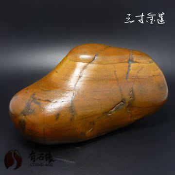 广西红水河大湾石造型石水冲石大化石观赏石奇石雅石原石三寸金莲